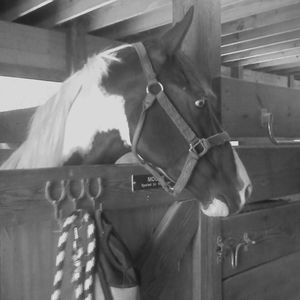 Meet your Posher, Mary lee